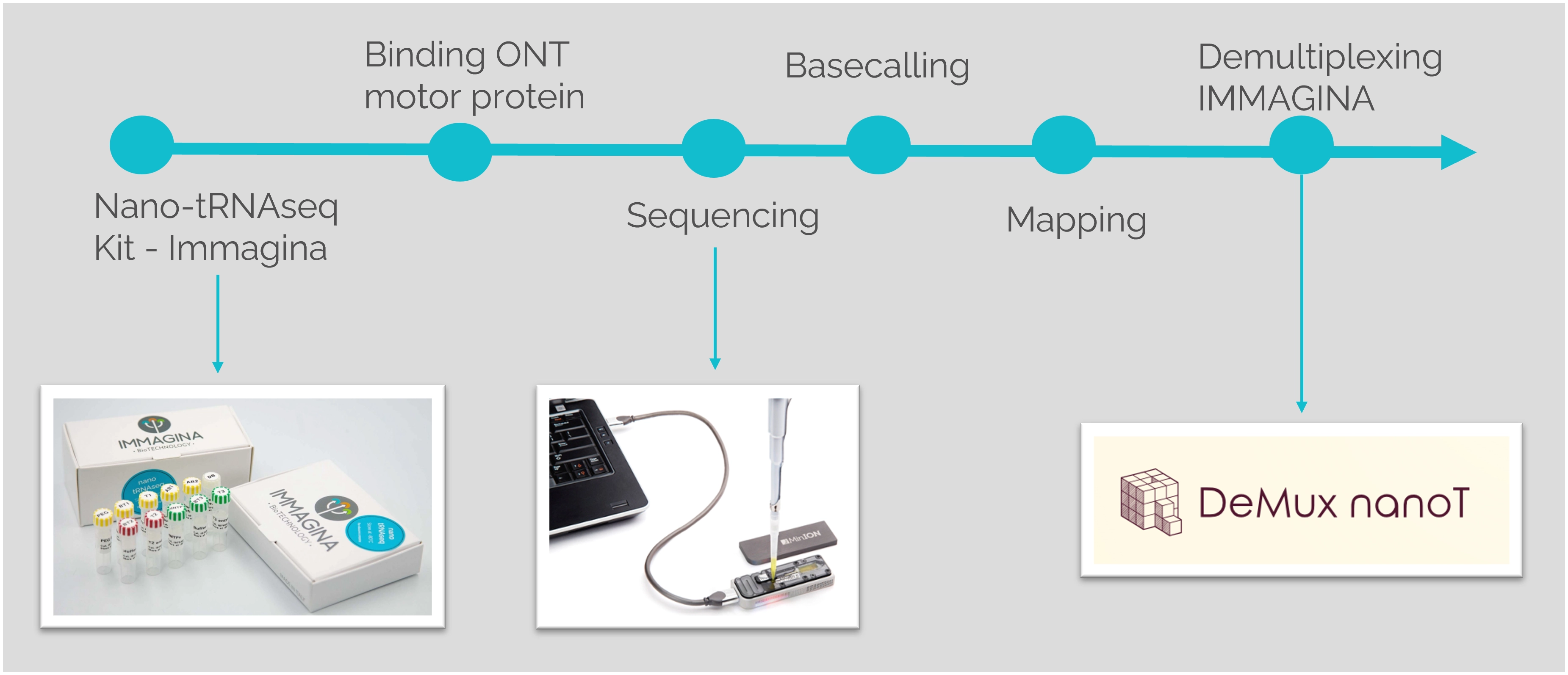 nano-tRNAseq Kit