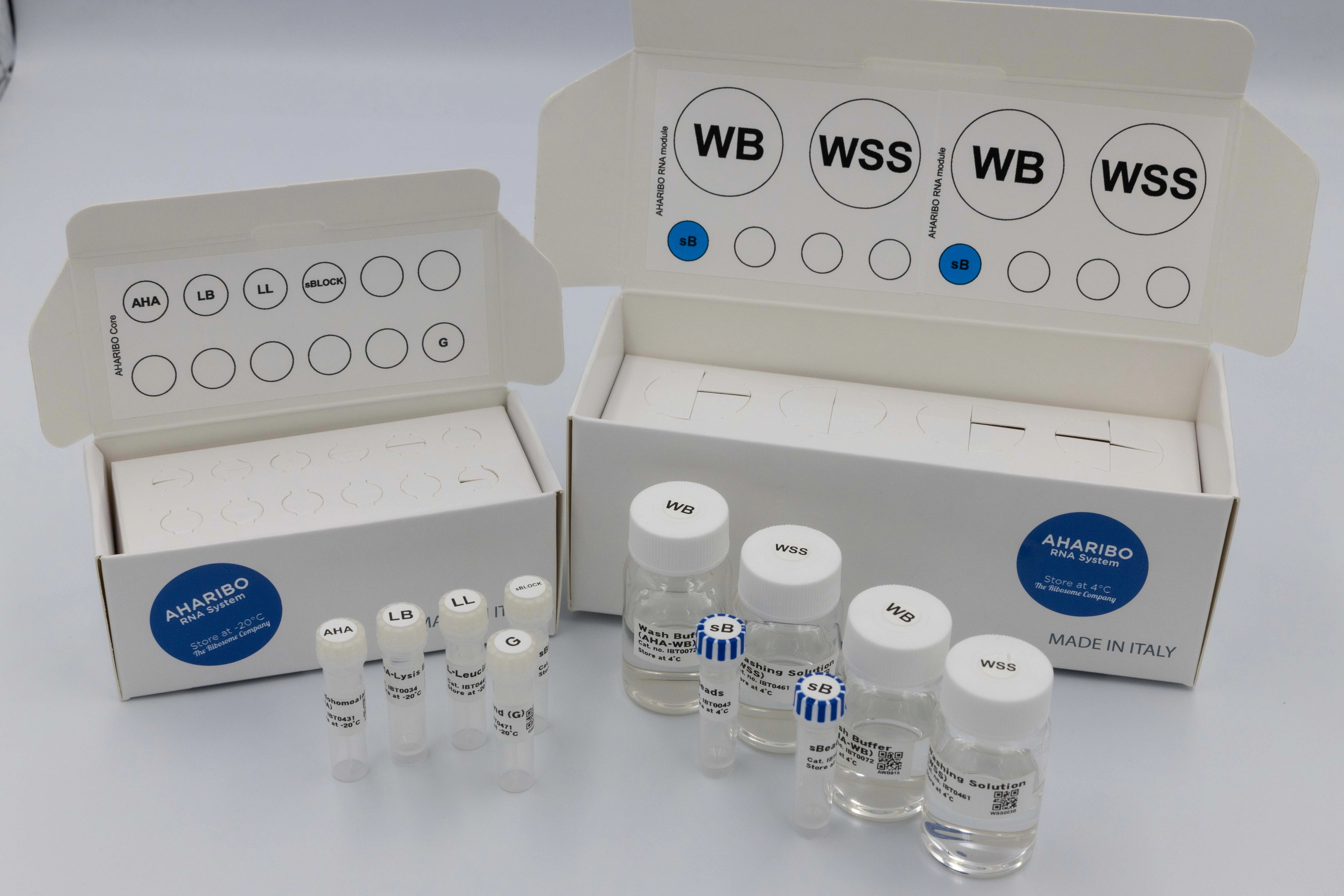 AHARIBO RNA System (12 rxns)