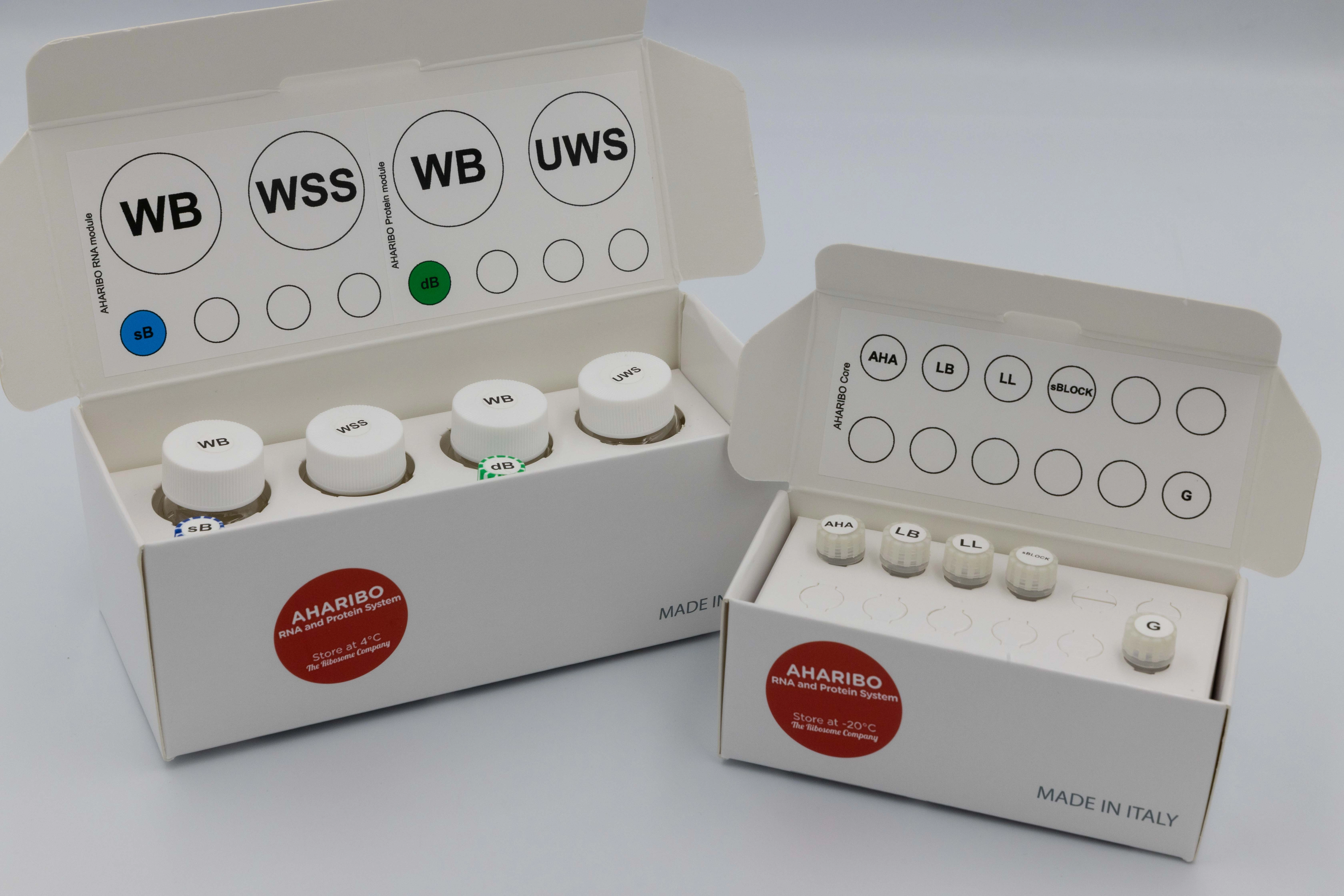 AHARIBO RNA / PROTEIN System (12 rxns)